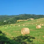 Borgo Fiore Apart Otel 3*