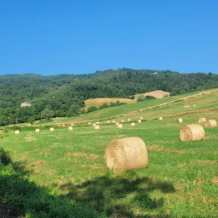 Borgo Fiore Lejlighedshotel 3*